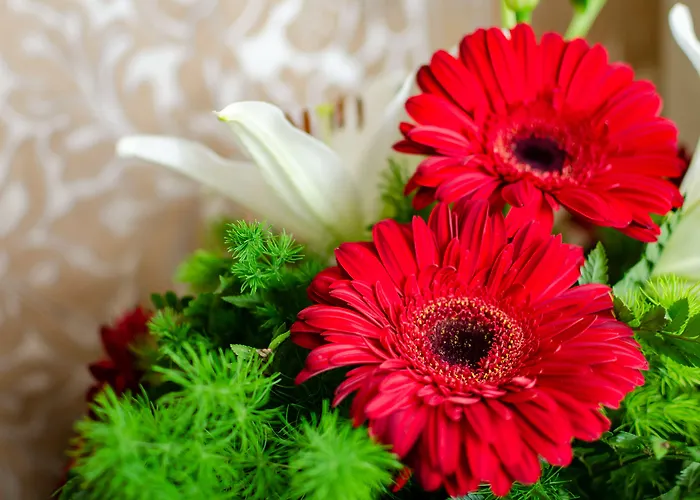 호텔 Lx 호시우 2*